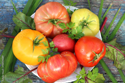 Ripe tomatoes of different colors and varieties are on the plate