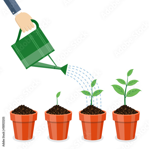 Watering can and plants in pots.
