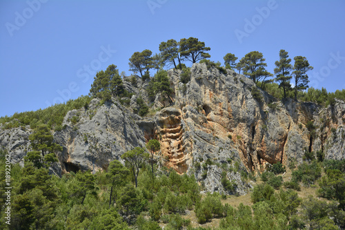 The landscape in Krka National Park, Sibenik-Knin County, Croatia. Photograph taken on the Krka river near the town of Skradin.
 photo