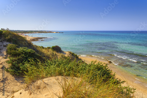 Summer beach.Torre Guaceto Nature Reserve  panoramic view of the coast from the dunes.Italy  Apulia . Mediterranean maquis  a nature sanctuary between the land and the sea.