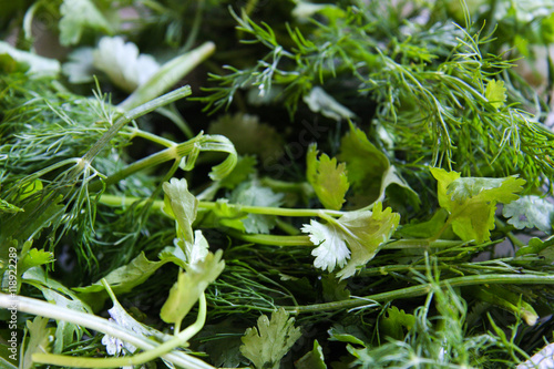 Mixed fresh green herbs