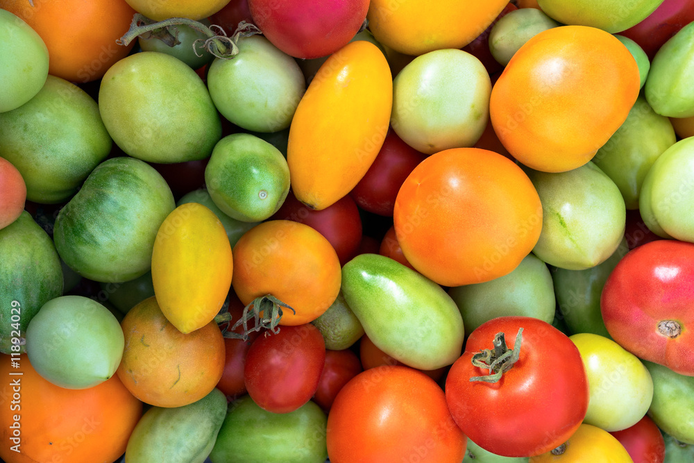 Fresh colorful vegetables tomatoes background Fresh colorful vegetables tomatoes background