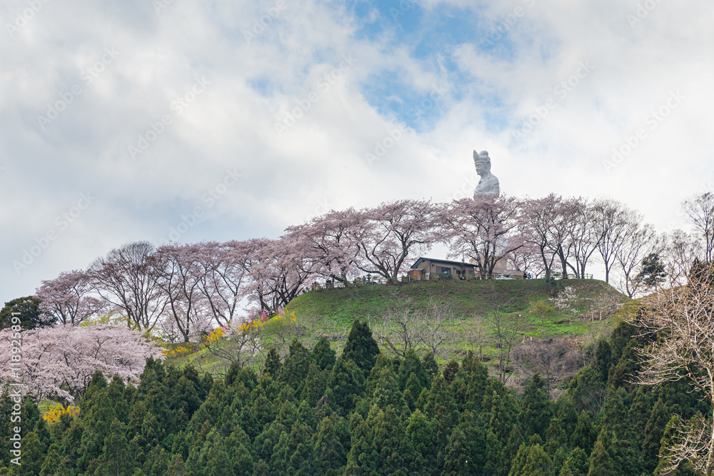 Fototapeta premium The Kannon statue and full bloom cherry blossoms (Sakura) at Fun