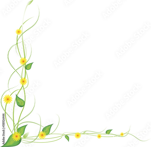 yellow flowers on a white background