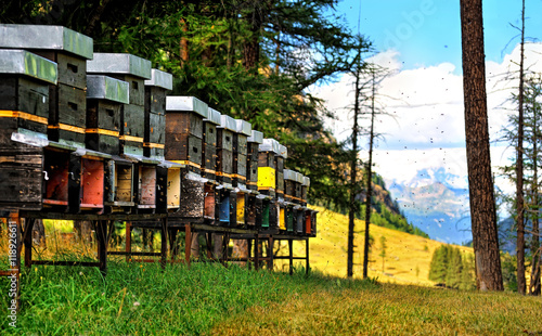 Apiary in the Alps in Valle d'Aosta, Italy