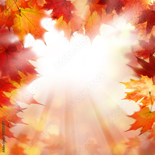 Autumn Orange Border Background with Fall Maple Leaves and White
