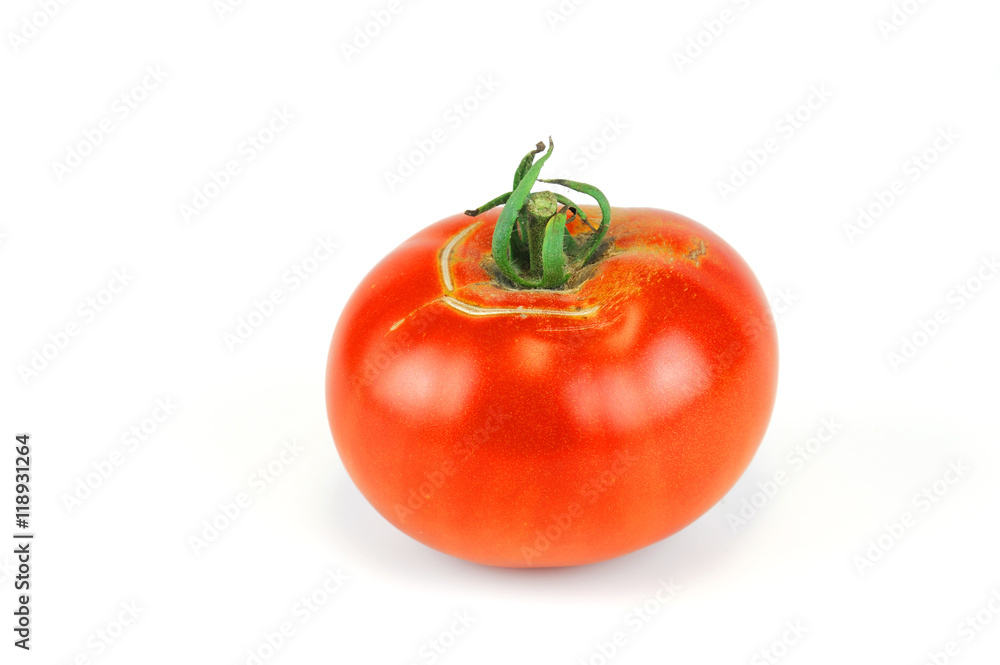 single fresh tomato isolated on white background single fresh tomato isolated on white background