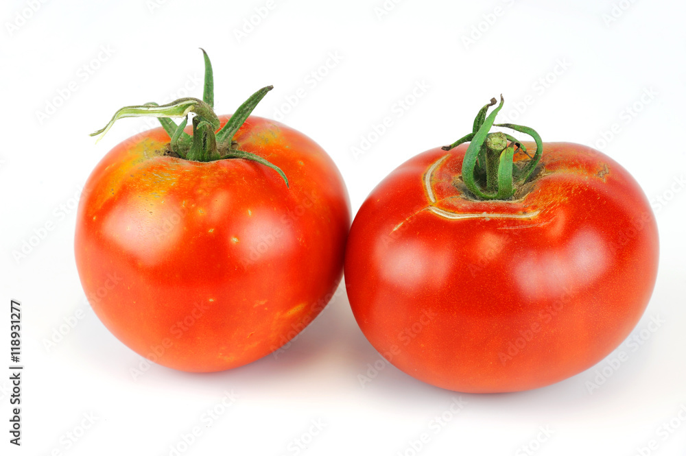 fresh farm picked tomatoes isolated on white background fresh farm picked tomatoes isolated on white background