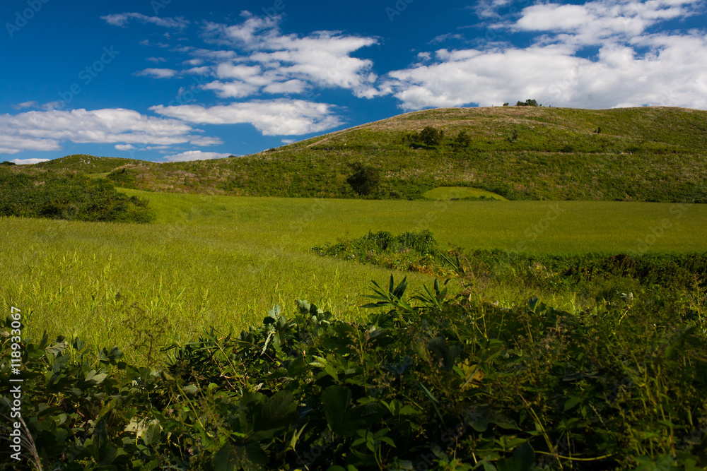 Fototapeta premium 秋吉台