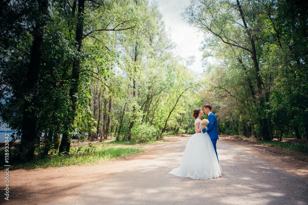 young bride and groom kissing on the background of the forest the road young bride and groom kissing on the background of the forest the road