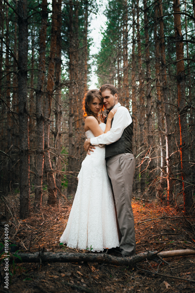dramatic picture bride and groom on the background of leaves forest backlight dramatic picture bride and groom on the background of leaves forest backlight