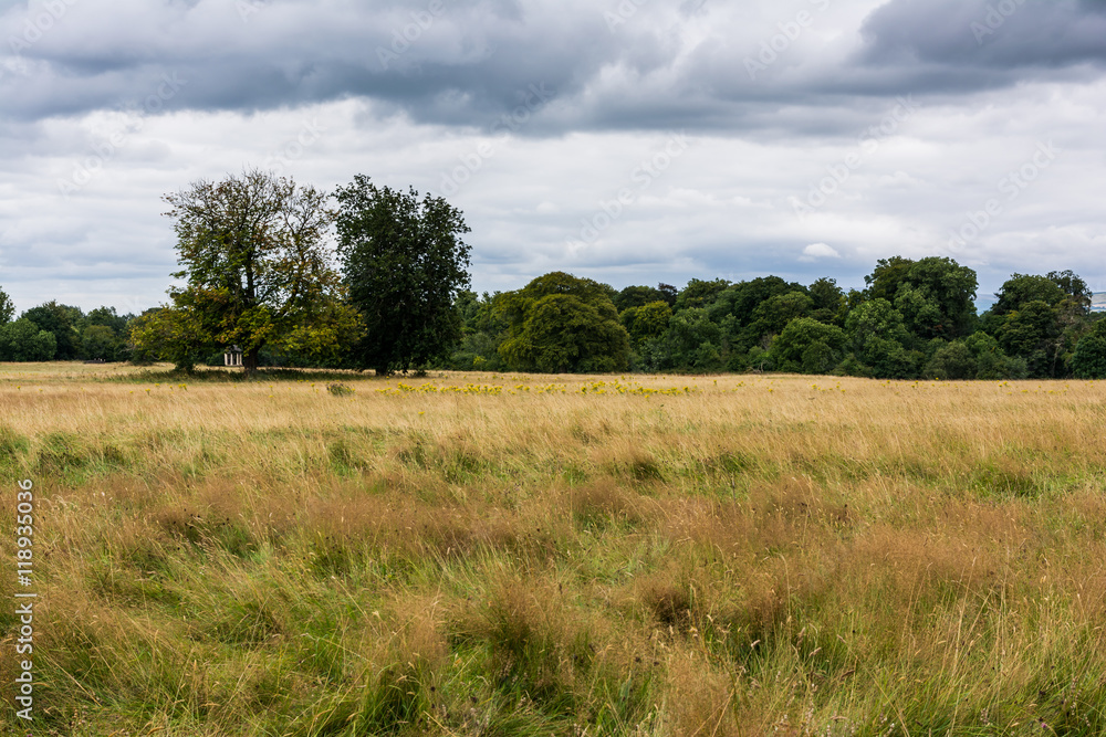 Celbridge Ireland Long Grass Field Dark Weather Landscape