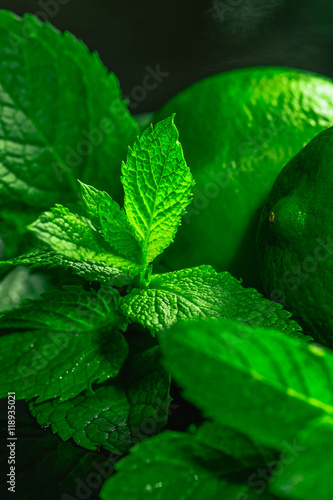 Fresh green mint close-up on a dark background photo