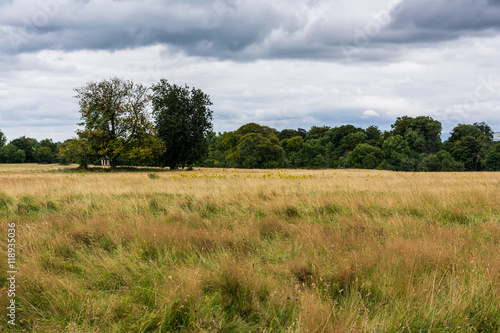 Celbridge Ireland Long Grass Field Dark Weather Landscape