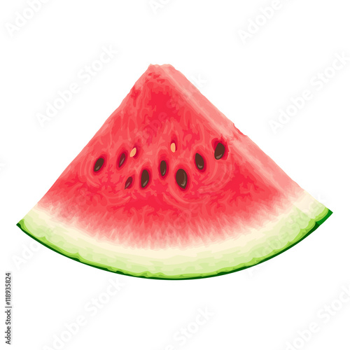 Piece of watermelon