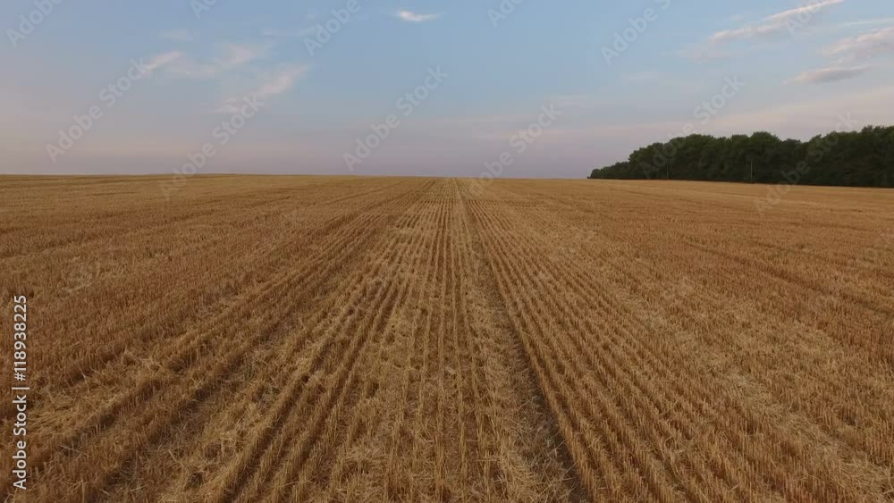 Aerial moving of wheat stubble in 4K Aerial moving of wheat stubble in 4K