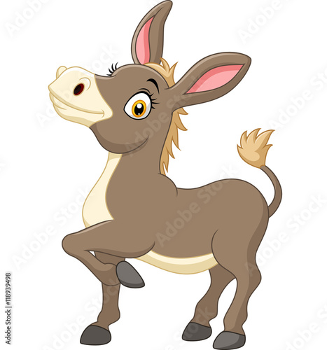 Happy donkey isolated on white background