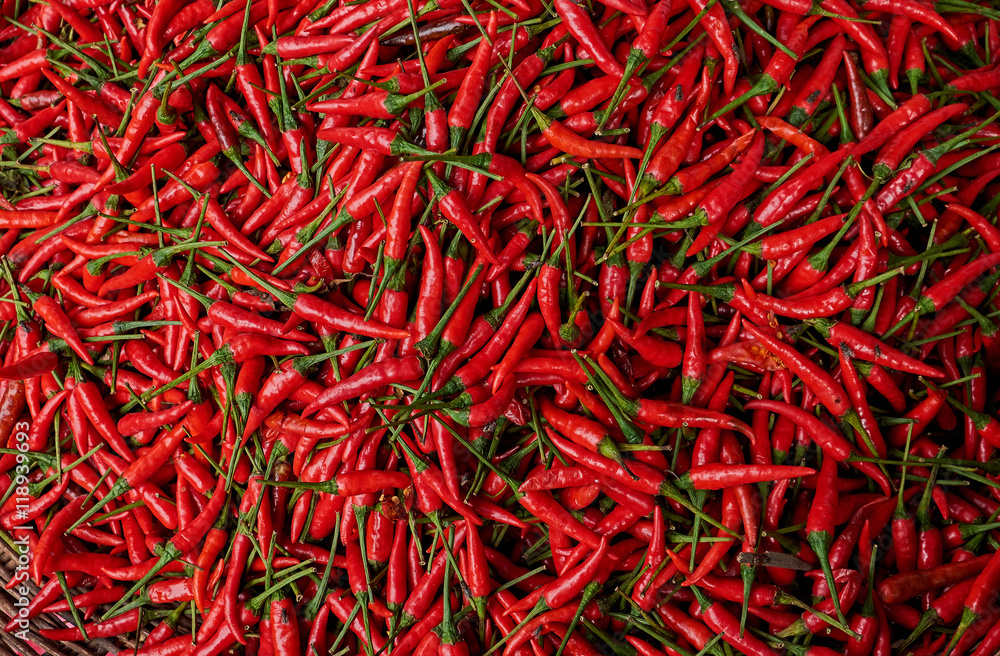 Cambodia - Red Chili Peppers
All Rights Reserved