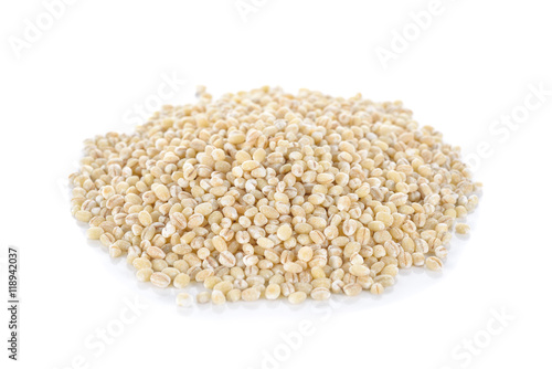 Uncooked barley grain seeds on white background