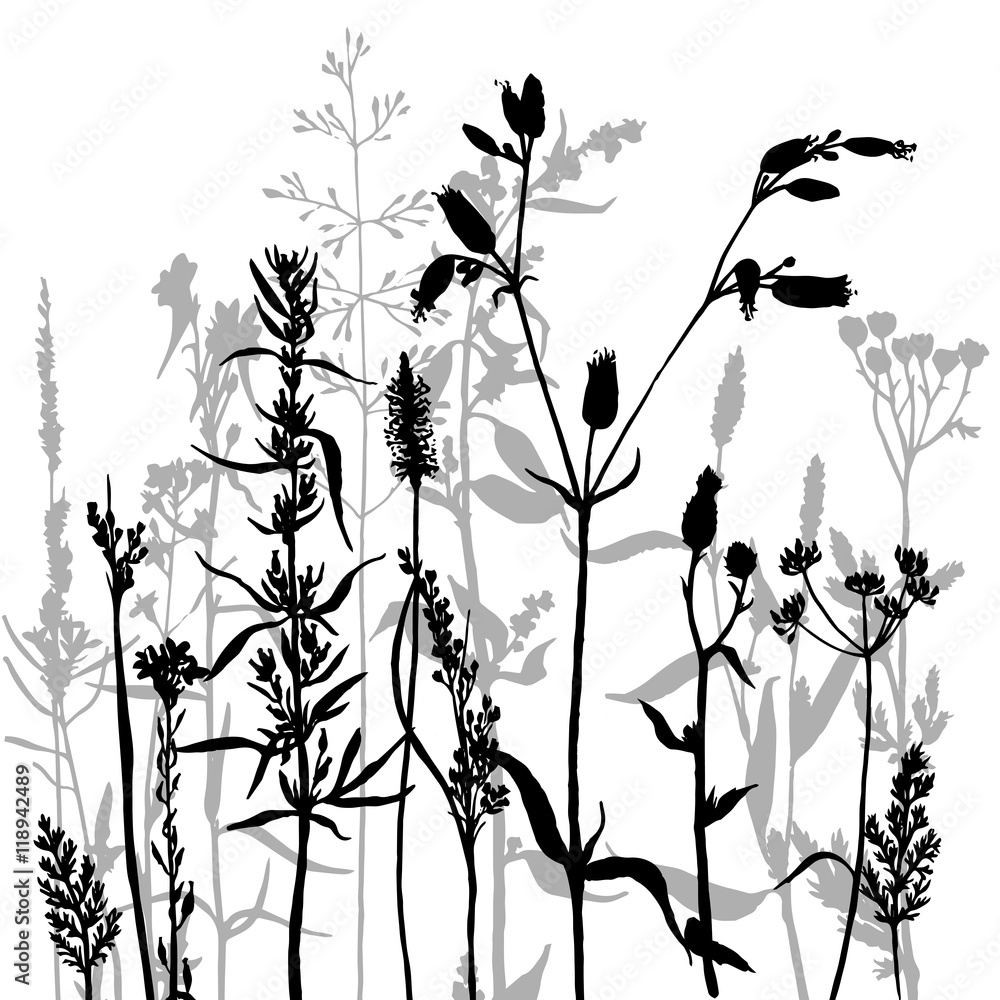 Naklejka premium vector silhouettes of flowers and grass
