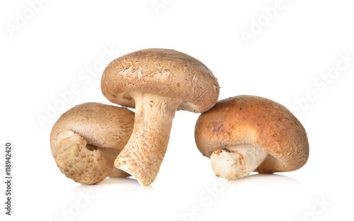 fresh Shiitake mushrooms on white background