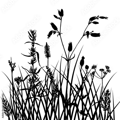 vector silhouettes of flowers and grass © cat_arch_angel