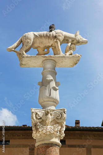 Columna Lupa Siena Italy