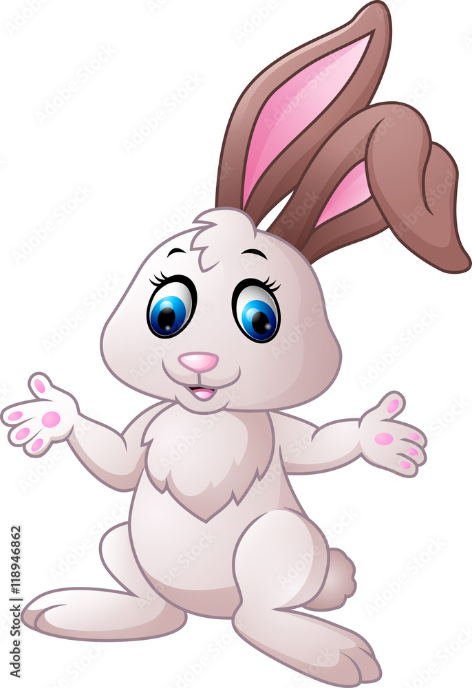Cute little bunny Cute little bunny