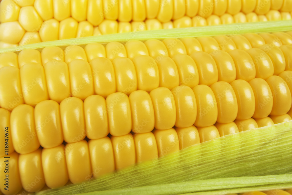 Grains of ripe corn. Background of corn cobs Grains of ripe corn. Background of corn cobs
