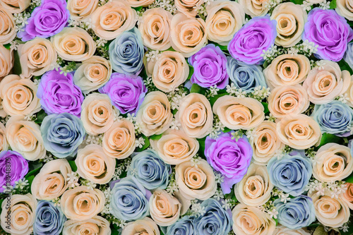 Beautiful flowers background for wedding scene