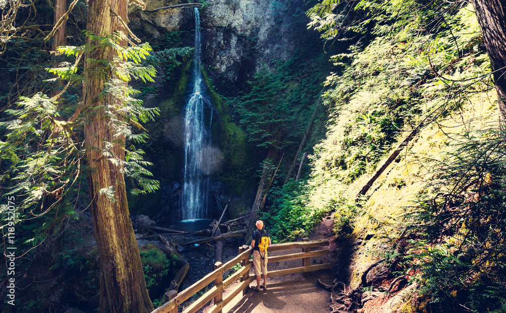 Fototapeta premium Waterfall in Vancouver