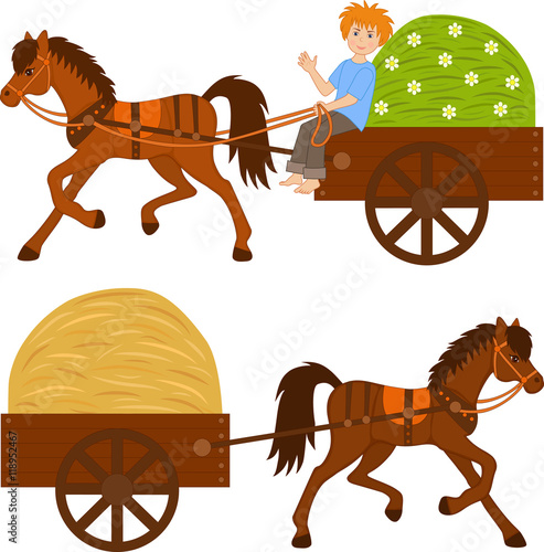 two carts with the farmer, hay and grass
