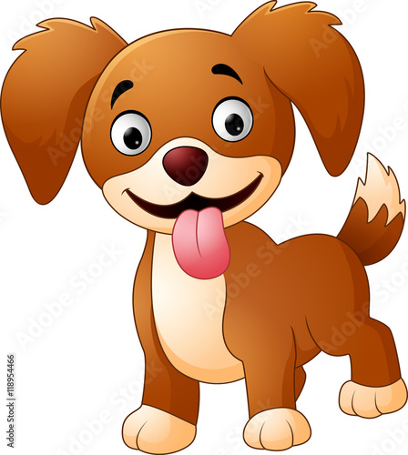 Cute dog isolated on white background