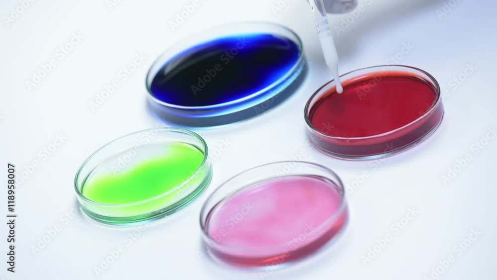Pipetting coloured liquid into petri dishes Pipetting coloured liquid into petri dishes