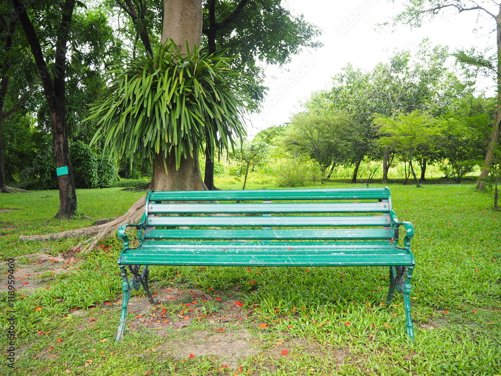 bench and alloy with beautiful tree in the garden. bench and alloy with beautiful tree in the garden.