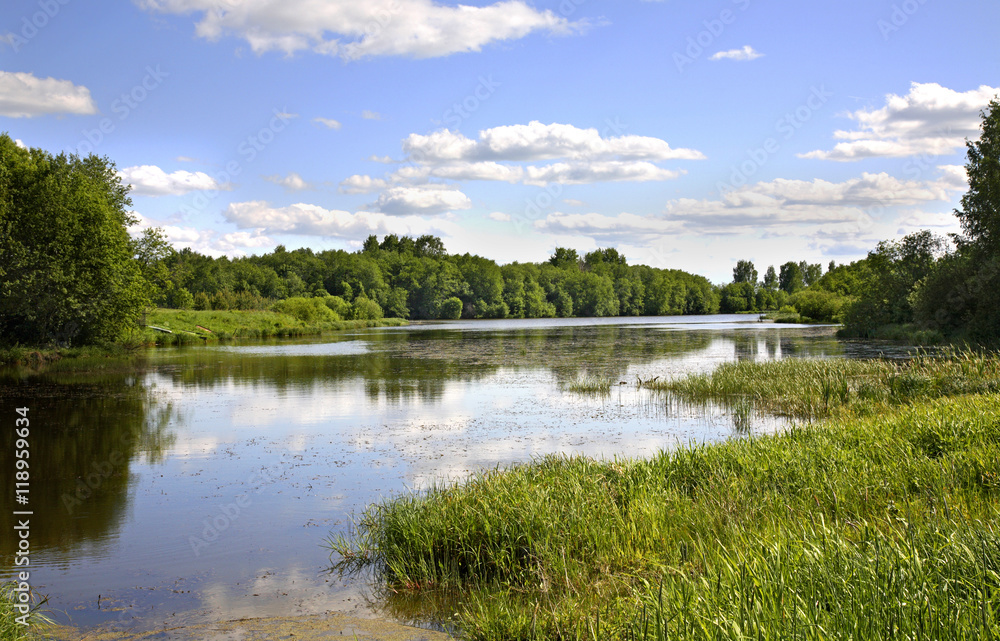 Gzhat River near Gagarin. Smolensk Oblast. Russia