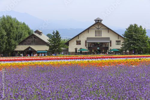 FURANO, HOKKAIDO, JAPAN – JULY 30, 2015: Lavender and colorful flower fields with house and tourists in the background at Tomita farm, famous tourist attraction of Furano, Hokkaido.
