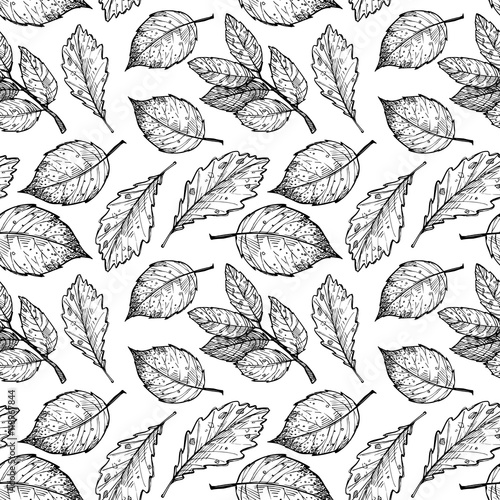 Hand drawn vector illustrations. Seamless pattern with leaves.