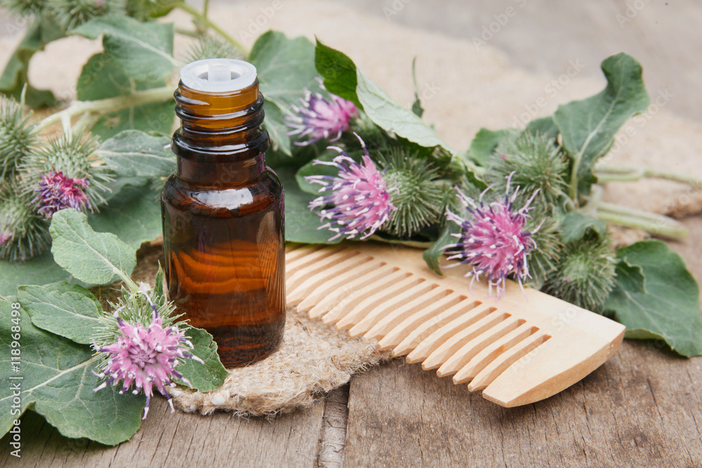 agrimony, burdock essential oil container with agrimony flowers agrimony, burdock essential oil container with agrimony flowers