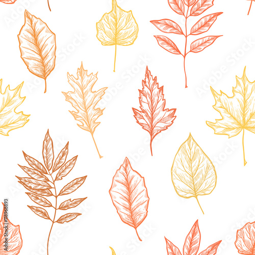 Hand drawn vector illustrations. Seamless pattern with leaves. F
