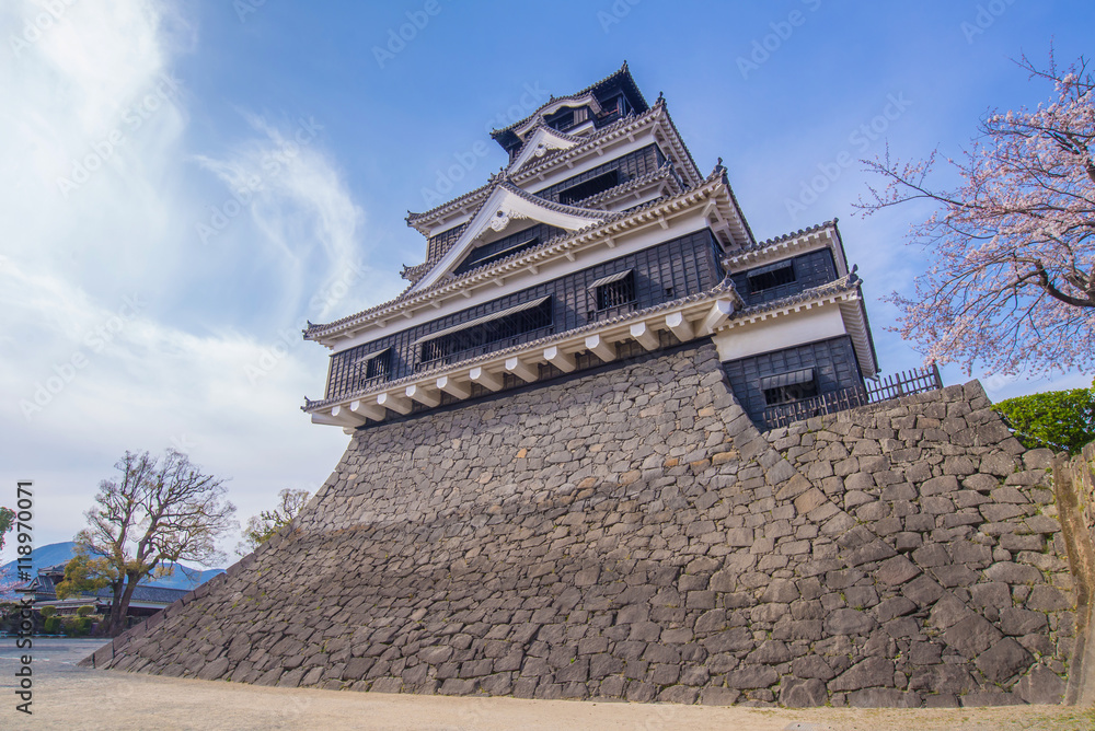 Kumamoto Castle with sakura or Cherry Blossoms Kumamoto Castle with sakura or Cherry Blossoms