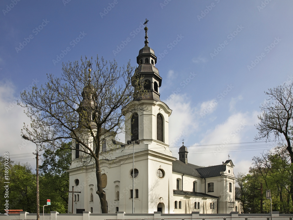 Church of Nativity of Blessed Virgin Mary in Minsk Mazowiecki. Poland