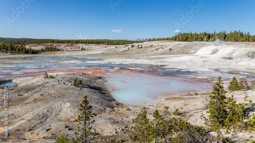 Fototapeta Naklejka Na Ścianę i Meble -  Bacteria which live in mud, creating different color patterns in and around the Norris Basin waters. Porcelain Basin of Norris Geyser Basin, Yellowstone National Park, Wyoming