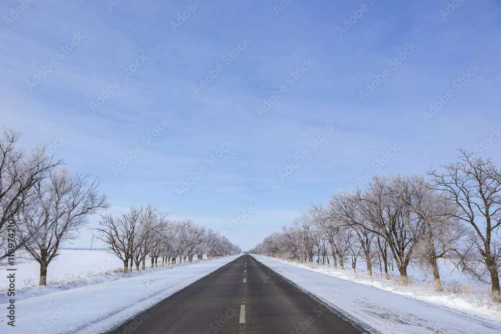 winter road. Trees in the snow, the branches covered with frost. Snowfall. winter road. Trees in the snow, the branches covered with frost. Snowfall.