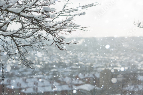 Winter city. Snow-covered park. Snowfall. Winter background. © scharfsinn86