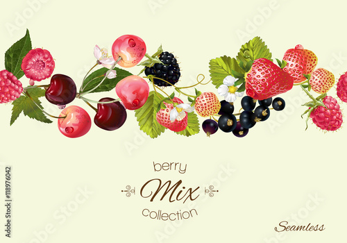 Vector berry seamless border.