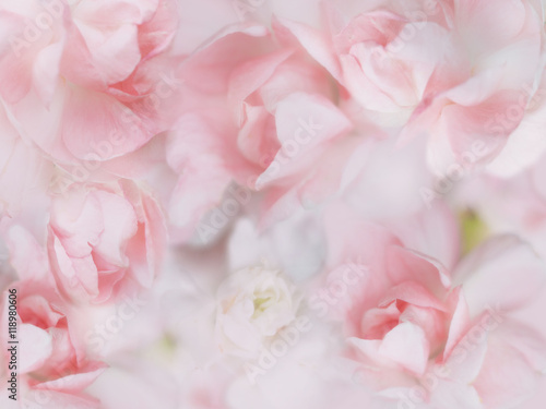sweet pastel flowers background