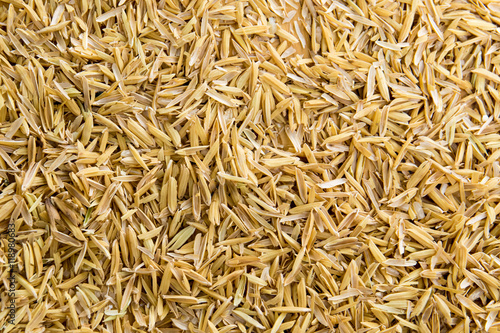 Paddy rice background