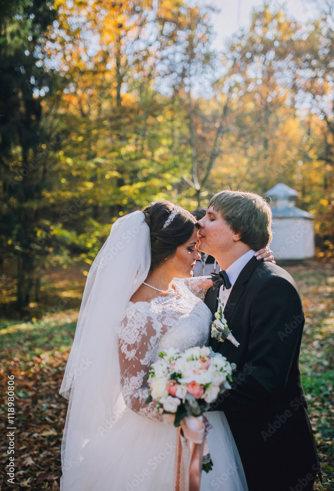 elegant stylish groom with his happy gorgeous brunette bride on the background of trees in the park elegant stylish groom with his happy gorgeous brunette bride on the background of trees in the park