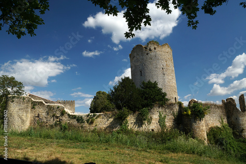 Ruine du Donjon et de l'enceinte du Château de Montreuil Bonnin